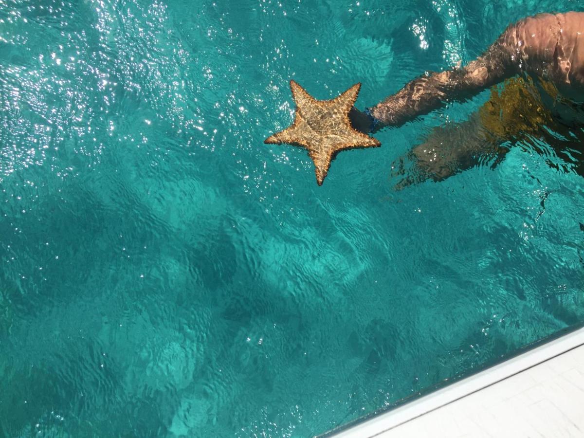 Zannanna F1 De Charme Tout Equipe Le Moule Avec Piscine Bagian luar foto